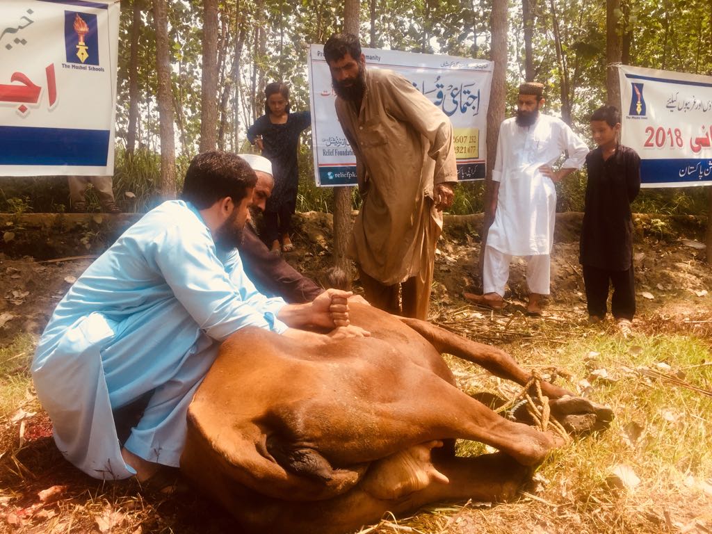 Ijtemai Qurbani