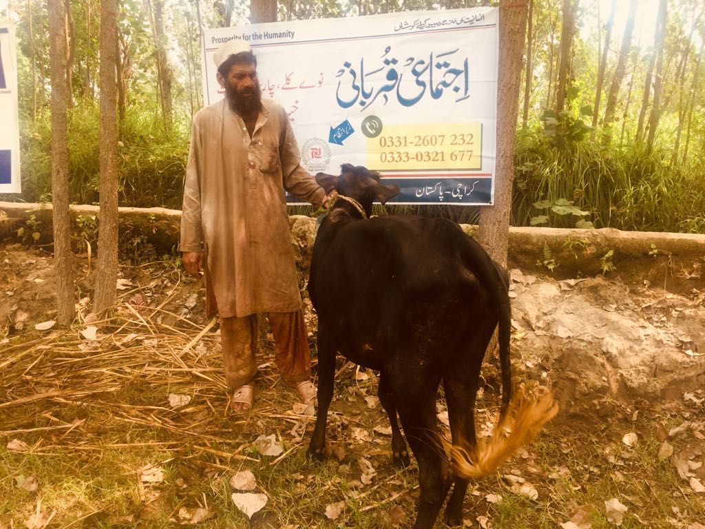 Ijtemai Qurbani