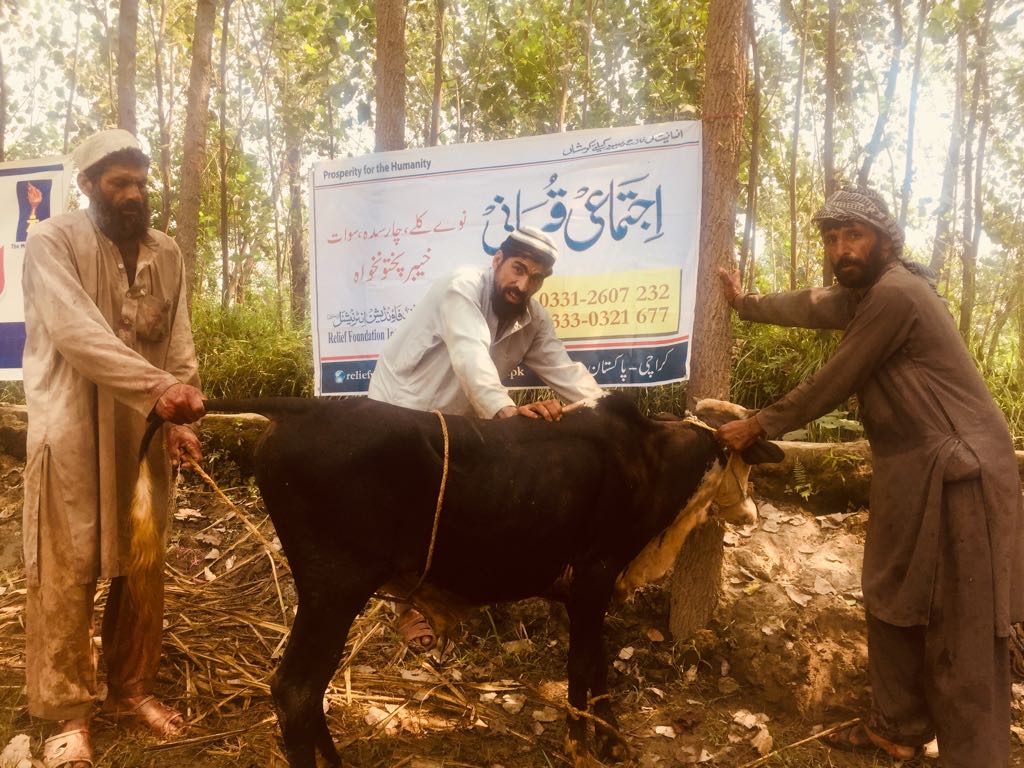 Ijtemai Qurbani