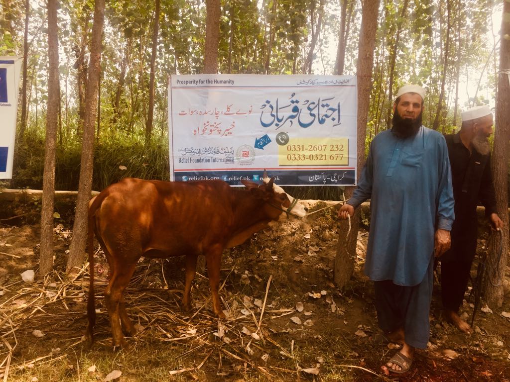 Ijtemai Qurbani