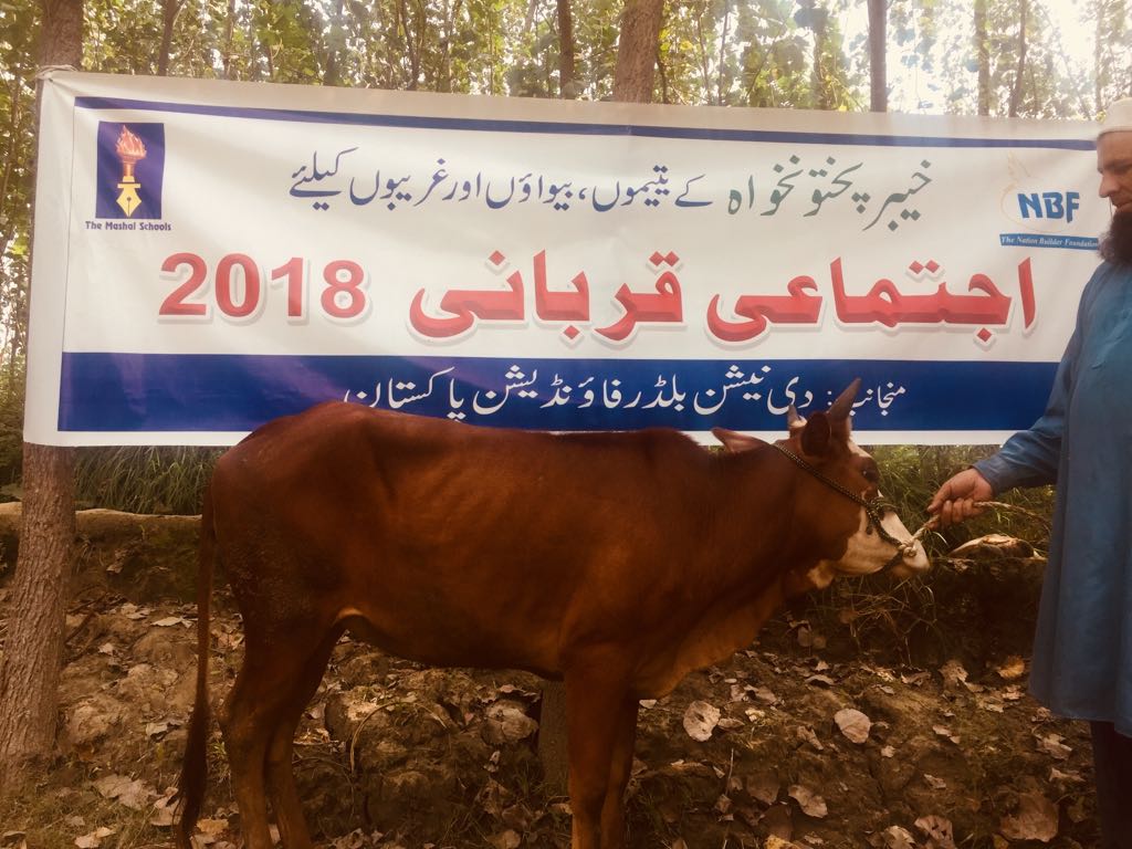 Ijtemai Qurbani