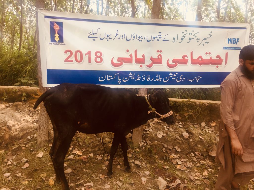 Ijtemai Qurbani