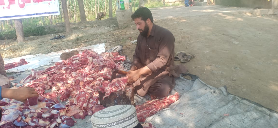 Ijtemai Qurbani