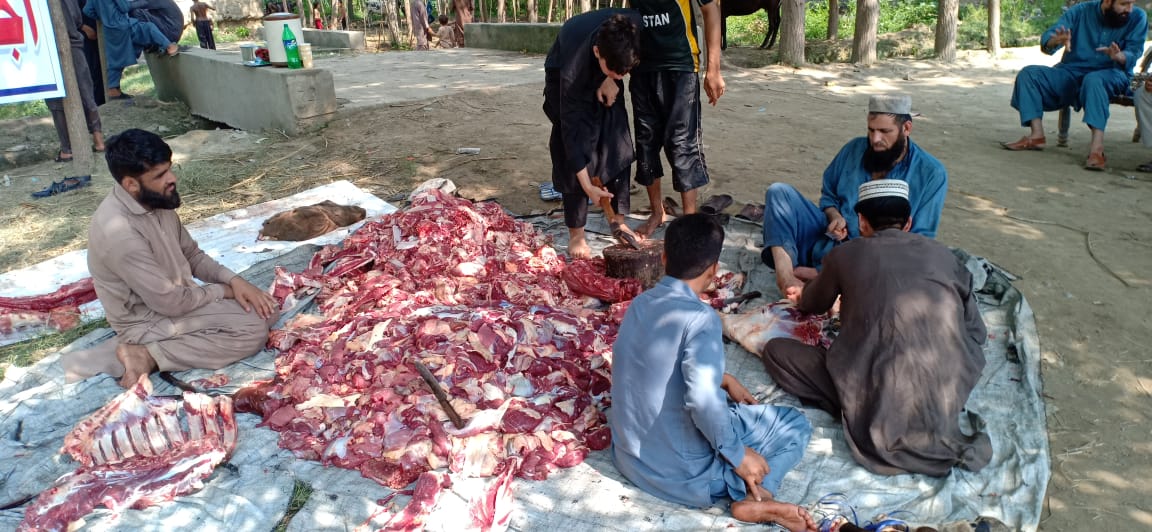 Ijtemai Qurbani