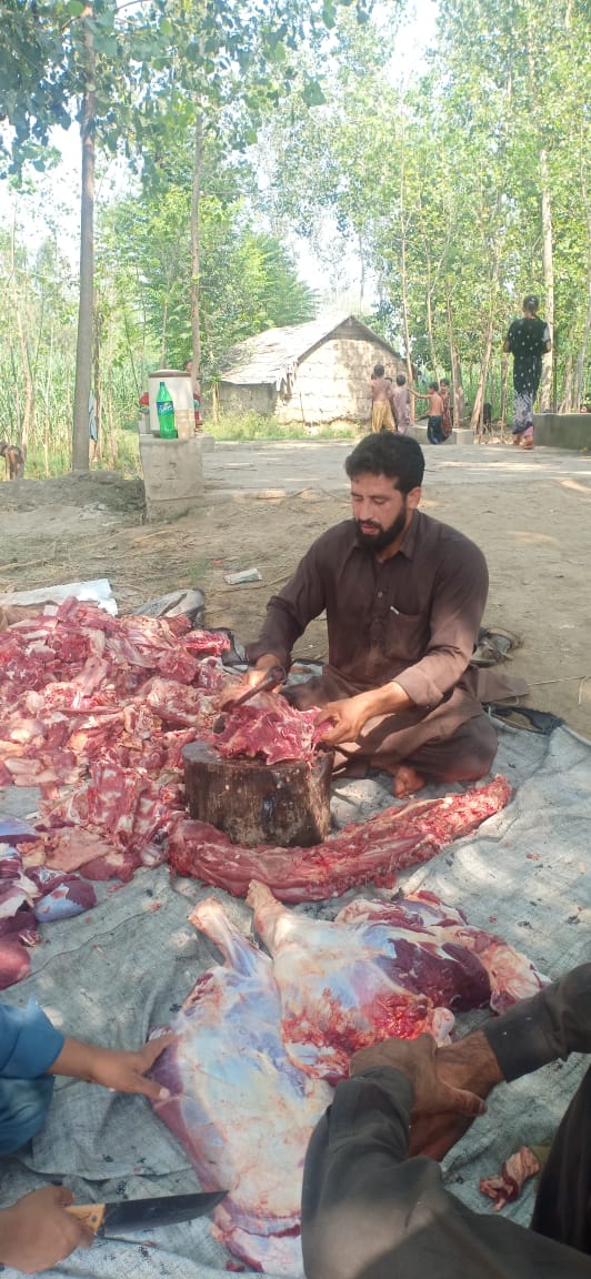 Ijtemai Qurbani